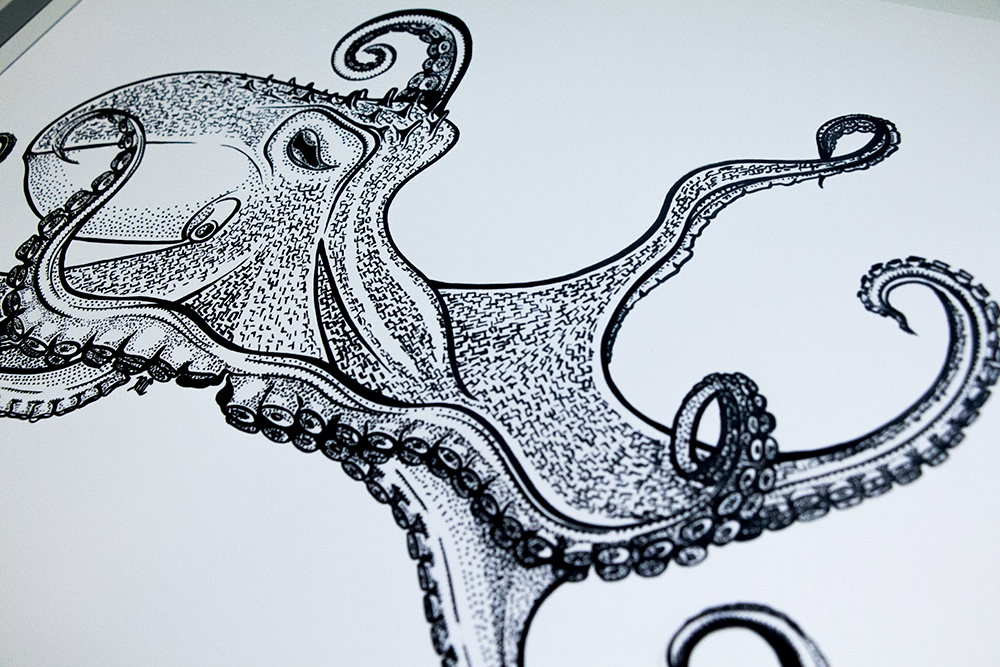 World Freestyle Round Up 2015