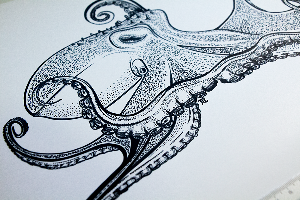 World Freestyle Round Up 2015